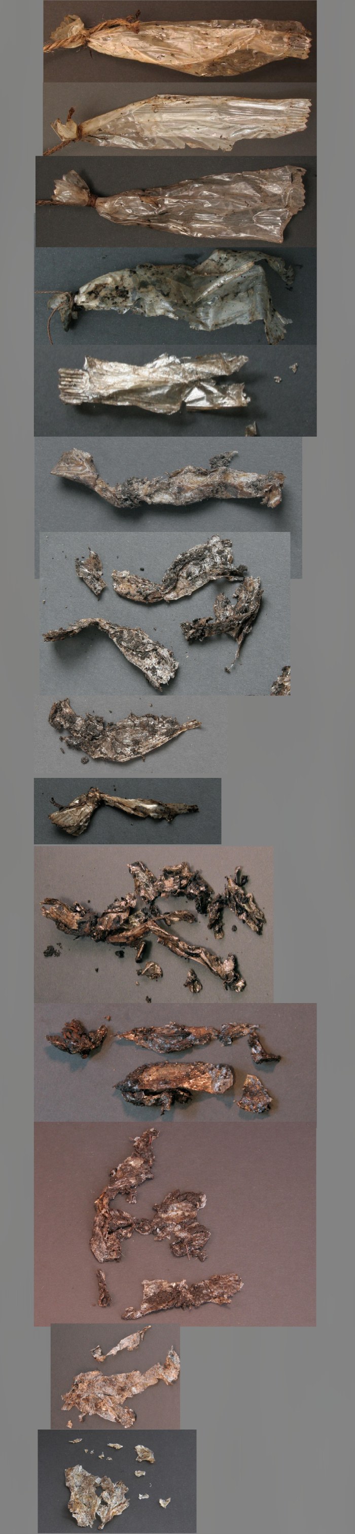 Biodegradation of biobased foils in home compost over 93 days. 