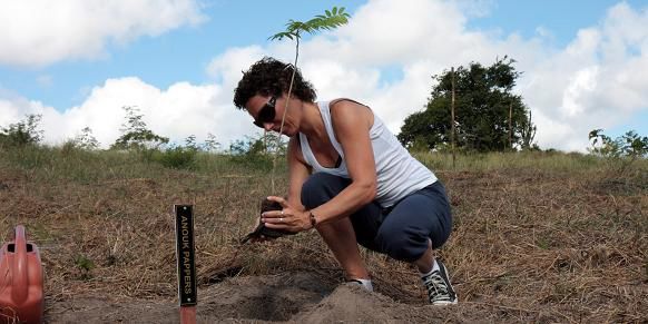 Another tree being planted in the CoolTravelForest by Anouk Pappers