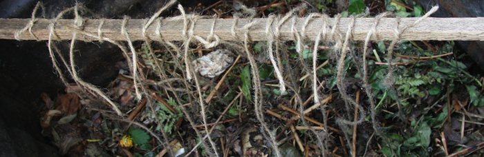 Test set up for home composting celluloid foil 